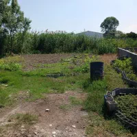 زمین سند‌دار ۳۷۰ متر/چسبیده به رودخانه/ آماده ساخت