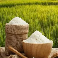 برنج درجه یک با قیمت عمده