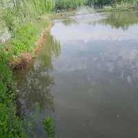 استخر ماهی بهمراه زمین مزرعه