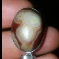 مهره موکلدار