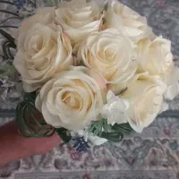 گل عروسی