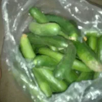 گرگه خیار