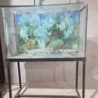 اگواریوم