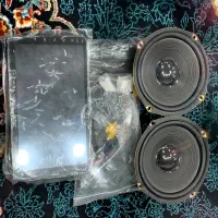 مانیتور پایونیر