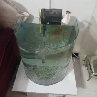 اکواریوم