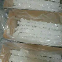 نبات شاخه نبات چوبی