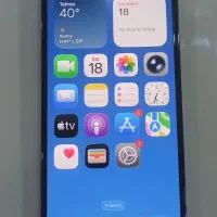 آیفون 12 پرو مگس