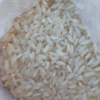 برنج چمپا منی 2700