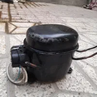 موتری یخچال سالیم ایلکتور ایستیل