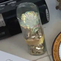 باکس گل|گل و گیاه طبیعی|زنجان, |دیوار