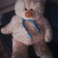 عروسک خرس