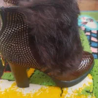 نیم بوت مجلسی