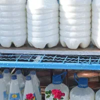 لبنیات محلی آشنا