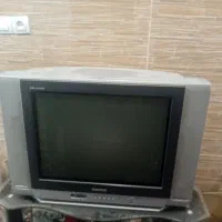 تلویزیون