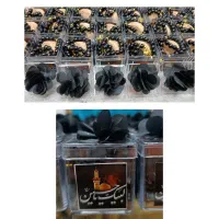 سوغات اربعین گیفت ترحیم تسبیح یادبود هدیه کربلا