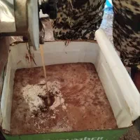 عسل کنار گون ژل رویال اصل گرده گل کوهستانی