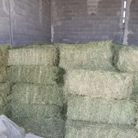 یونجه خشک درجه یک