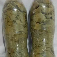 برگ دلمه لاهرود