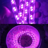 ریسه LED شلنگی نوری بنفش