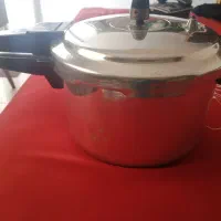 زودپز دودسته