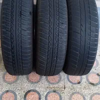 لاستیک پیکان