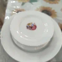 نونو فقط  800