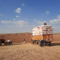 فروش کاه گندم