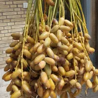 خارک خوزستان