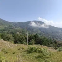 فروش زمین جواهرده .نمد مالان