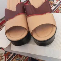 کفش مجلسی