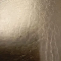 مدارک شناسایی گمشده است