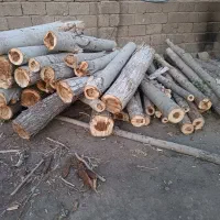 خریدانواع چوب