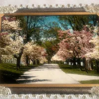 تابلوفرش  بسیار زیبا