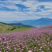 داوطلبان طبیعت اعلام حضور کنن