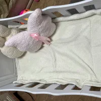تخت و تشک و نانو شیر دوش برقی کریر