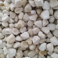 کشک خشک گاوی و گوسفندی