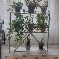 پایه گل وکلی وسایل منزل