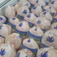مرغ گرم کف قیمت بجنورد