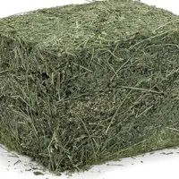 یونجه همش گل