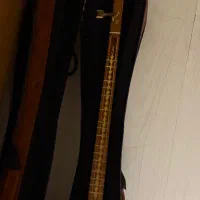 سه تار|سازهای سنتی|تهران, هفت حوض|دیوار