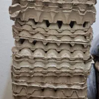 شانه تخم مرغ