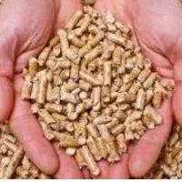 تابلو ال ای دی خوراک دام و طیور