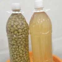 آبغوره ترش و خوشمزه ، غوره شور عسگری
