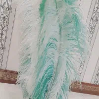 پرتعزیه و کلاه خود