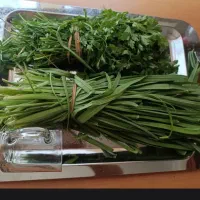 ارسال رایگان سبزی، قرمه سبزی