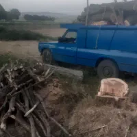 خریدار انواع چوب