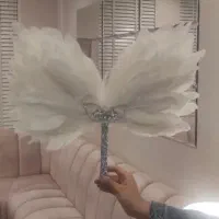 بادبزن عروس