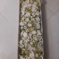 گل طبیعی