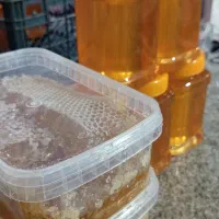 عسل درجه یک کوهستان رابر