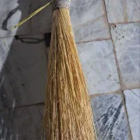 جارو صحرایی